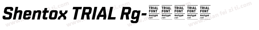 Shentox TRIAL Rg字体转换